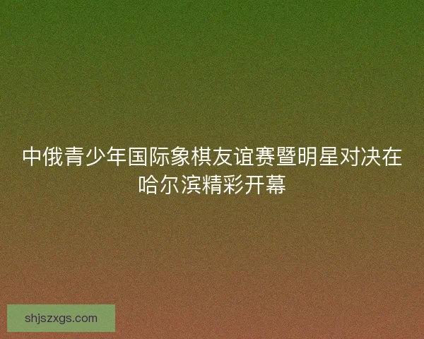 中俄青少年国际象棋友谊赛暨明星对决在哈尔滨精彩开幕
